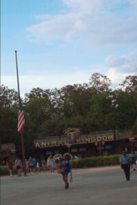 Animal Kingdom